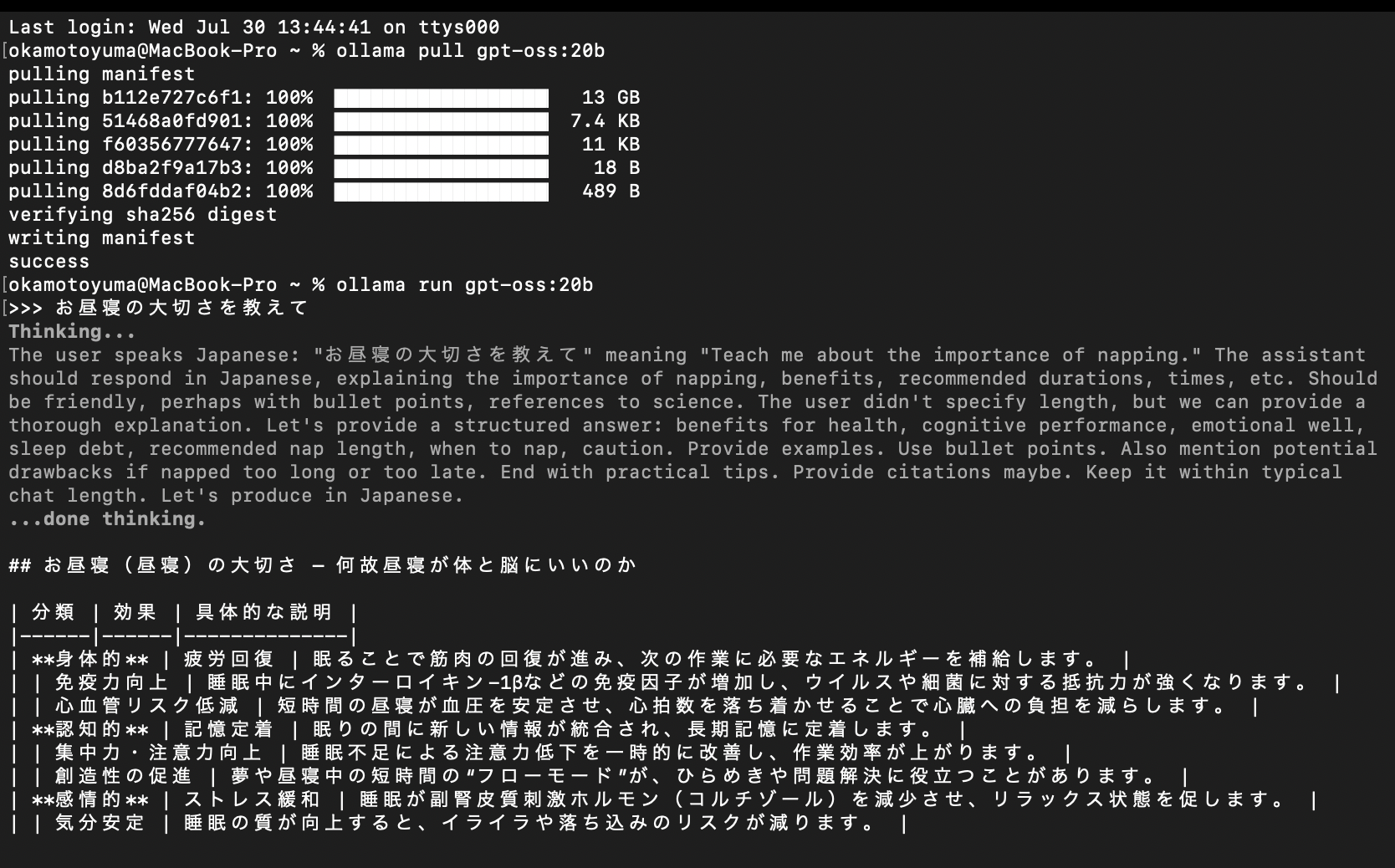 gpt-ossを使用した際の出力結果画面